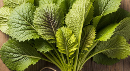 Fresh Organic Vegetables and Healthy Food Background.