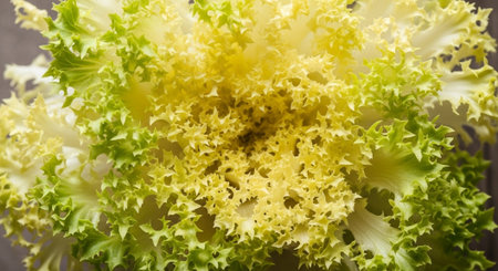 Fresh Organic Vegetables and Healthy Food Background.