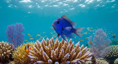 Underwater Marine Life with Tropical Fish in Blue Ocean.