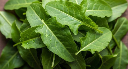 Fresh Organic Vegetables and Healthy Food Background.