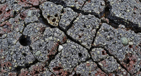 Abstract Macro Nature Background with Natural Textures and Details.