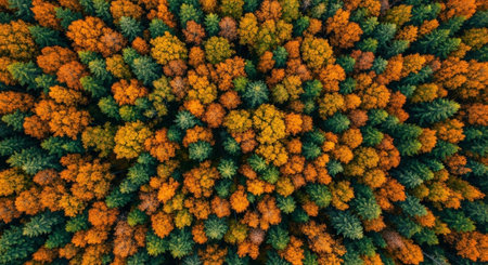 Premium Diverse Nature Landscape Background Collection for Creative and Commercial Use.