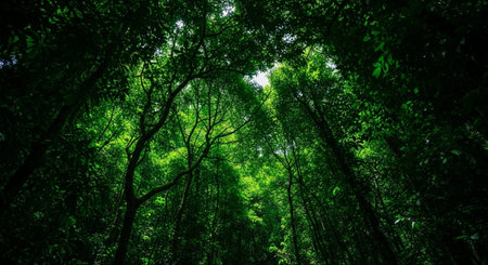 Premium Diverse Nature Landscape Background Collection for Creative and Commercial Use.