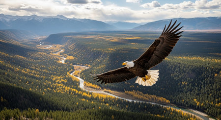 Majestic Wildlife and Natural Habitat Background Collection.