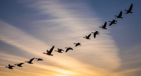 Majestic Wildlife and Natural Habitat Background Collection.