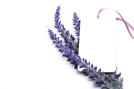Tag for free message with lavender flowersの写真素材