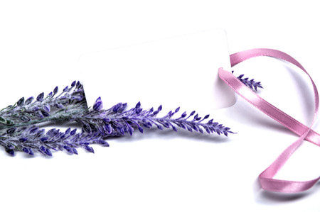 Tag for free message with lavender flowersの写真素材