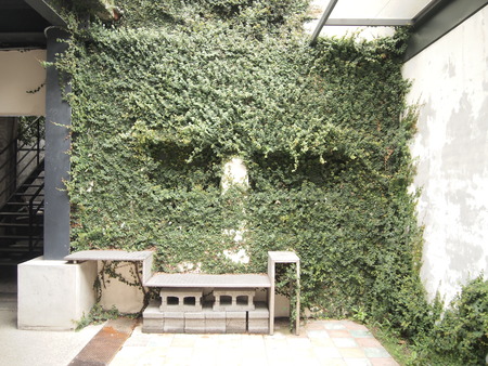 green wallの写真素材