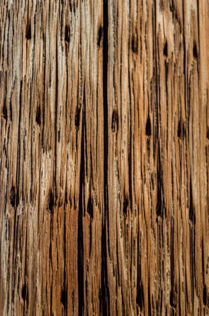 wood textureの写真素材