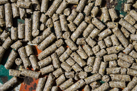 chicken feed