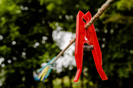 red clothes pegの写真素材