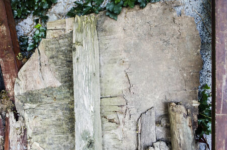weathered wood outdoorsの写真素材