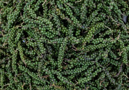 Green peppercorns. Green pepper seeds piele. Asia, Vietnam market.の写真素材