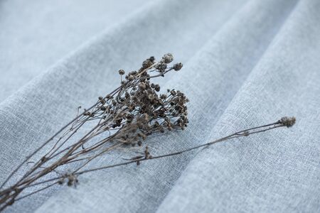 Dried flowers bouquet on gray fabric, close up photoの写真素材