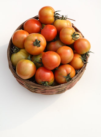 tomatoes in a basket on a white background with copy space.の写真素材