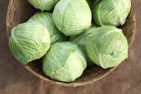 Cabbages in a basket on sackcloth background,の写真素材