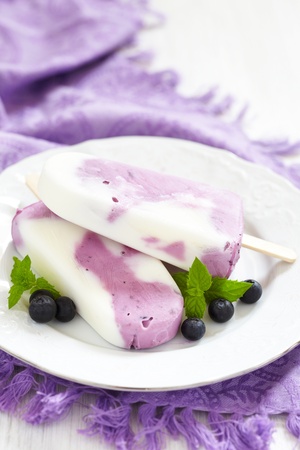 Blueberry yogurt ice cream popsicleの写真素材