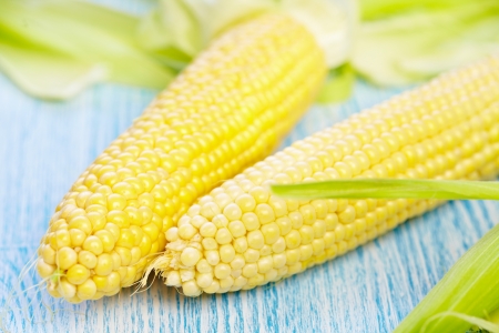 Fresh corn on blue wooden tableの写真素材