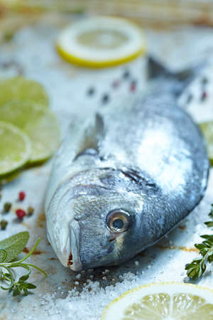 Fresh sea bream with lemon, lime and herbsの写真素材