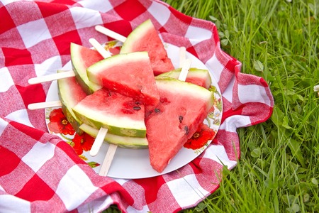 Watermelon pops for a picnic on green grassの写真素材