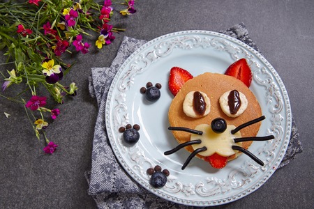 Funny cat pancake with berries for kids breakfastの写真素材