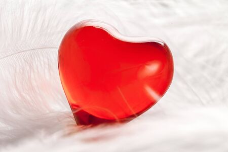 heart on white feathers backgroundの写真素材