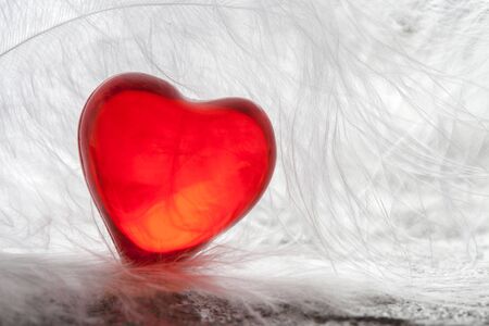 heart on white feathers backgroundの写真素材