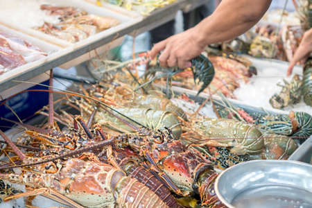 Fresh raw lobsters seafood at a food marketの写真素材