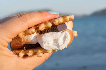 Hand holding a hot smore. Sweet dessert made from cookies, chocolate and marshmallow