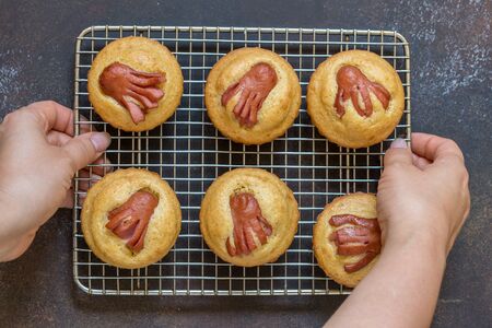 Kid funny food. Cornbread muffins with sausage octopusの写真素材