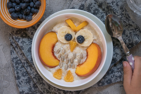 Kids breakfast oatmeal porridge with fruits look like cute owlの写真素材