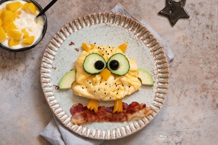 Owl omelette for kids breakfastの写真素材