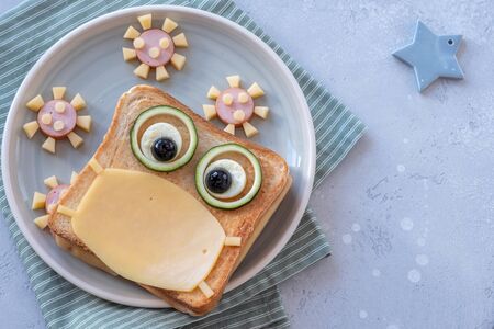 Funny sandwich for a childの写真素材