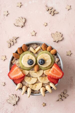 Owl shaped breakfast healthy oatmeal porridge for kidsの写真素材