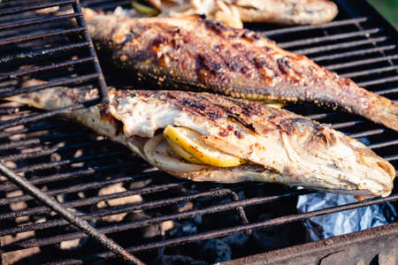 Grilled Sea Bass on a charcoal grillの写真素材