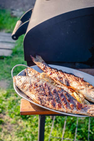 Grilled Sea Bass on a charcoal grillの写真素材