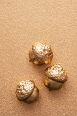 autumn background with golden acorns