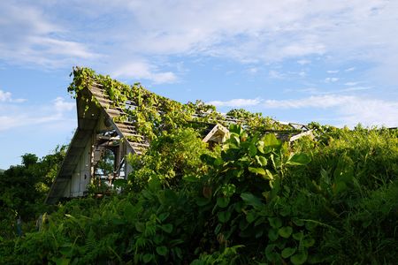 Very old destroyed house is located in jungle at peninsula Santubong coast. Borneo.の写真素材