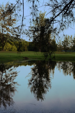 Life in a wild jungle of equatorial tropical island Borneo.の写真素材