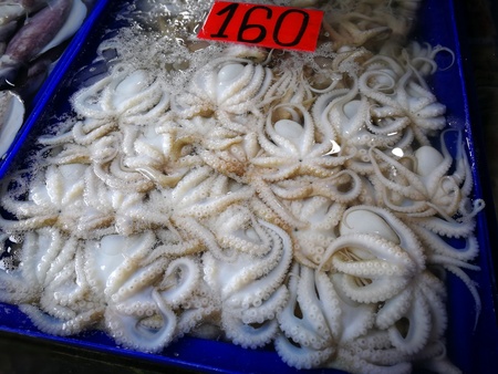 Fresh seafood such as Snail shrimp squid crab Cockle in Thailand seafood Marketの写真素材