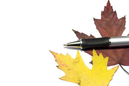pen with fall golden leafsの写真素材