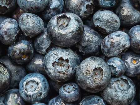 a lot of ripe wet blueberries closeup - backgroundの写真素材