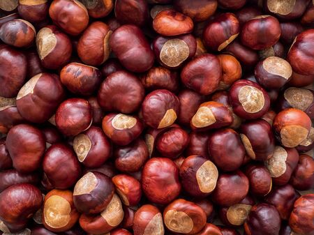 a lot of ripe peeled brown chestnuts backgroundの写真素材
