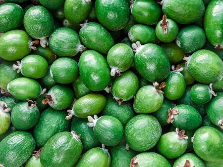 many feijoa food backgroundの写真素材