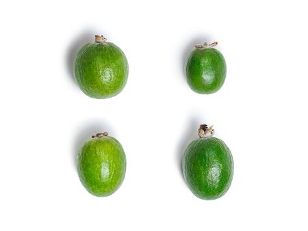 four options isolated feijoaの写真素材