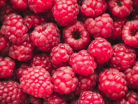 a lot of ripe raspberries close up - food background