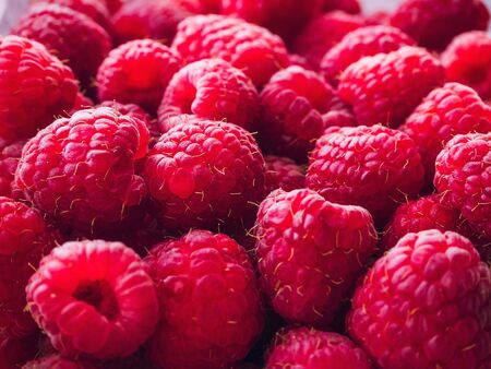 a lot of ripe raspberries close up - food backgroundの写真素材