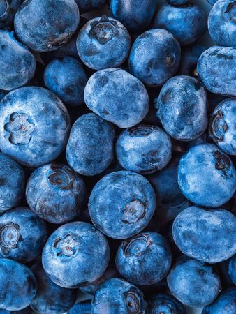 many ripe blueberries closeup - background