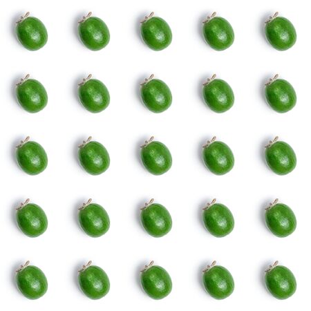 seamless pattern with feijoa fruits on a white backgroundの写真素材