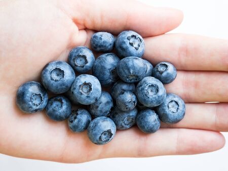 handful of ripe blueberries in the palm on a white backgroundの写真素材